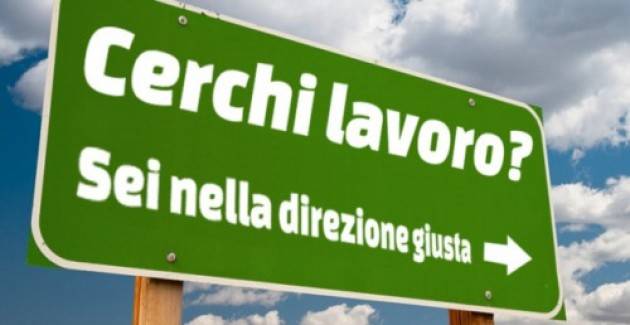 Vercelli Immobiliare: offerta di lavoro